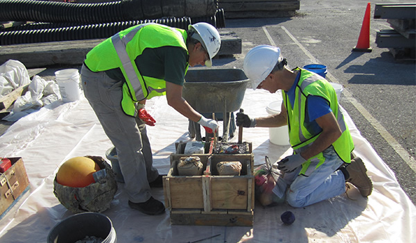 Oyster restoration as part of a strong environmental program on a construction site