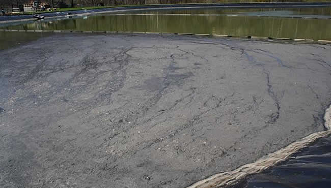 Photo of sludge in a wastewater pond