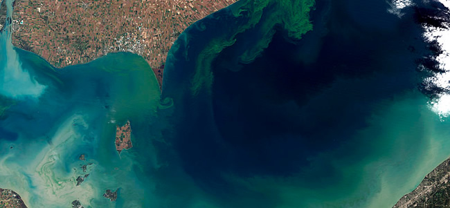 NOAA Image credit: By Jesse Allen and Robert Simmon - NASA Earth Observatory, Public Domain