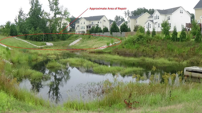 Photo of reseeded slope after pond filling