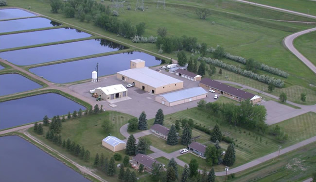 Increasing fish hatchery production with geosynthetic lining systems