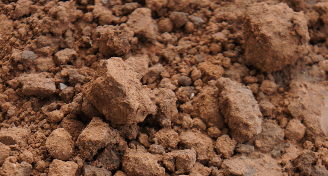 Photo of soils for story on the geotechnical poetry of Mary Nodine