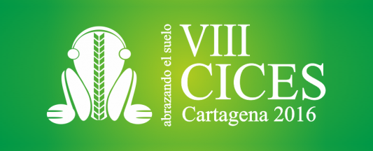 VIII-CICES-Logo