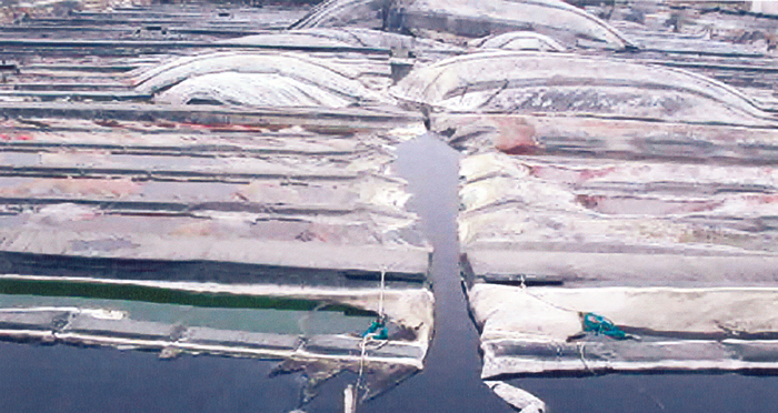 Anaerobic digester failure on Geosynthetica