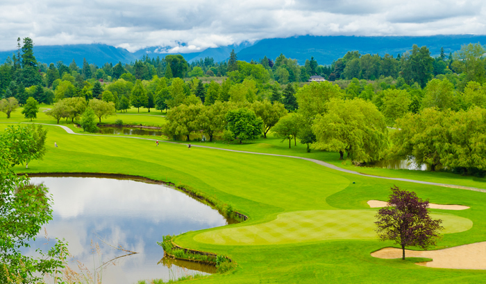 Golf course pond and green. Photo by Karamysh via Shutterstock license.