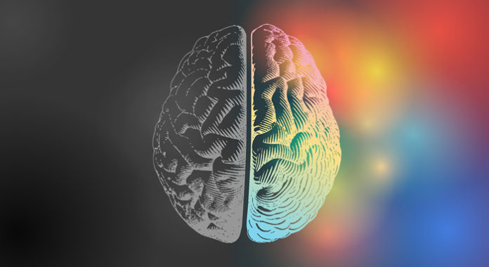 Left brain Right brain image for GeoCreatives Series