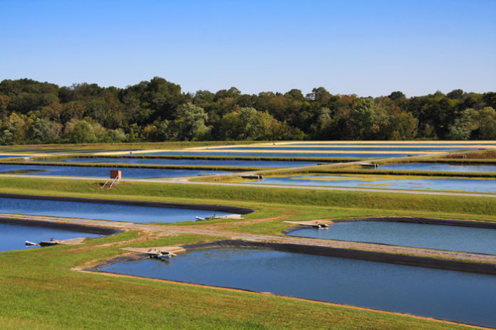 Photo of array of fish hatchery ponds. Image taken from ground level. Blue sky, tree line in the distance. Image by Melinda Fawver via Shutterstock license.