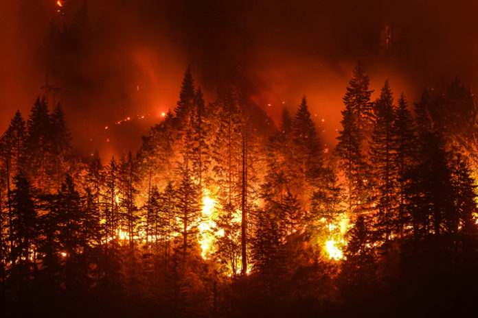 Eagle Creek Wildfire in Columbia River Gorge, Oregon. Photo by Christian Roberts-Olsen via Shutterstock standard license.